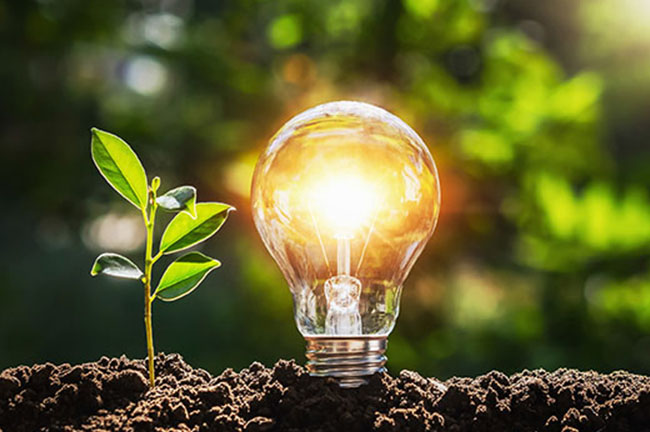 Como a energia solar pode economizar dinheiro na sua conta de luz